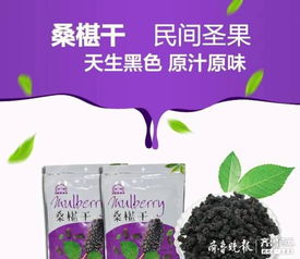 山东古桑农副产品公司 实施三大销售模式，推动健康产业化发展