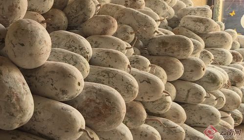 爱心企业助农纾困 宁洱滞销农副产品温暖环卫工人抗疫路