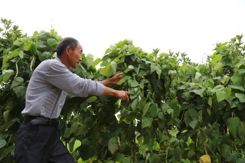 守护餐桌安全，传递诚信力量 2023年宜昌食品销售行业楷模名单揭晓