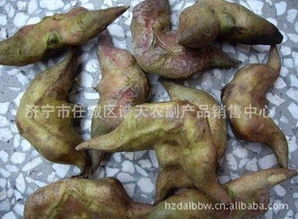 济宁市任城区谱天农副产品销售中心 优质食品销售的专业平台