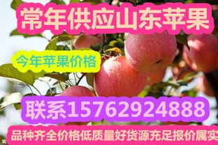 沂水鸿达农副产品购销处 可靠的红星苹果批发供应商